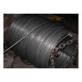 5.5mm 6.5mm 8mm 10mm 12mm Low Carbon Steel Wire Mild Steel Wire Rods in Coil (Q195, Q235, SAE1006, SAE1008, SAE1010)